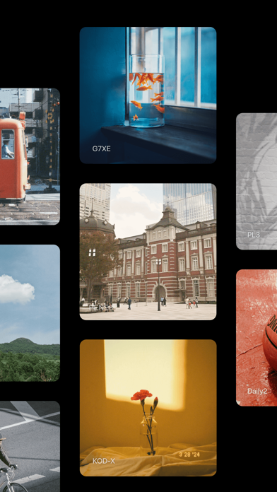 Foodie フーディー