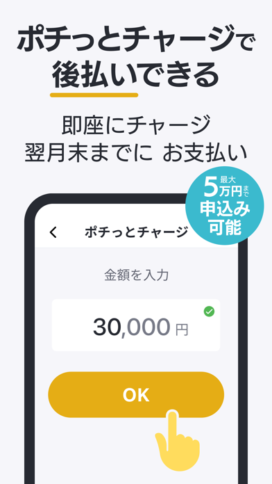 バンドルカード:Visaチャージ式カード、Visaカード
