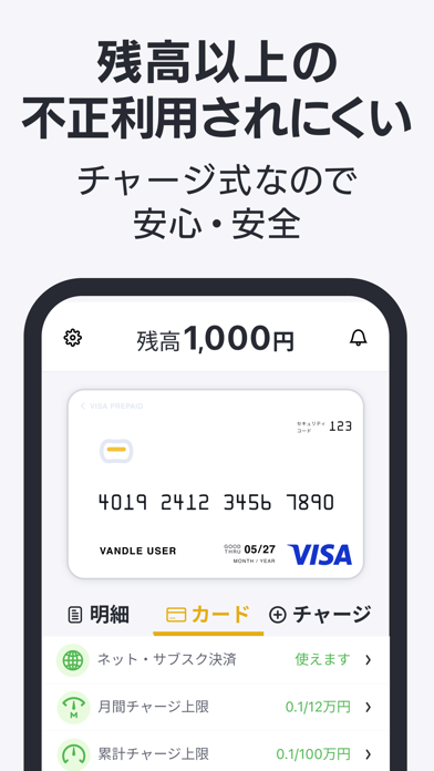 バンドルカード:Visaチャージ式カード、Visaカード