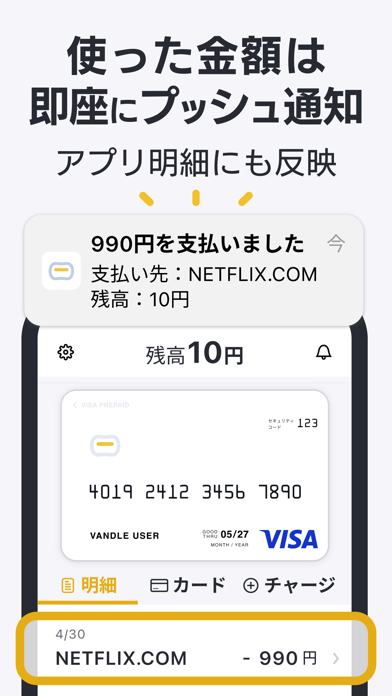 バンドルカード:Visaチャージ式カード、Visaカード