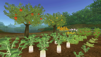 トーラムオンライン